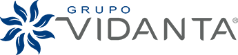 LOGO Grupo Vidanta